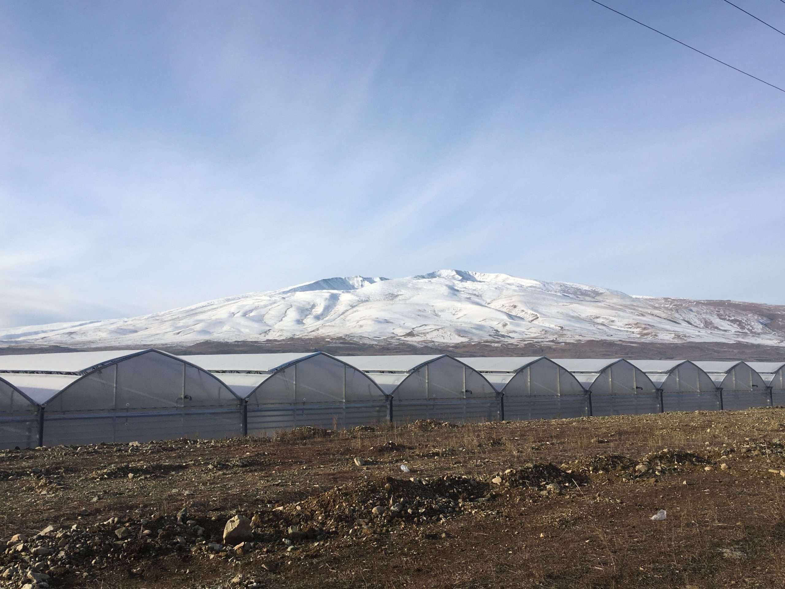 Invernadero pasos sencillos comenzar propio